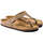 Schoenen Dames Sandalen / Open schoenen Birkenstock Gizeh BS Bruin
