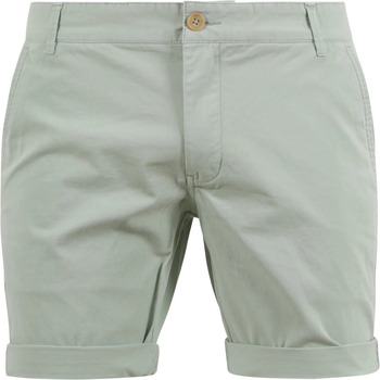 Textiel Heren Broeken / Pantalons Suitable Barri Short Mintgroen Groen