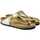 Schoenen Heren Sandalen / Open schoenen Birkenstock Gizeh bf Goud