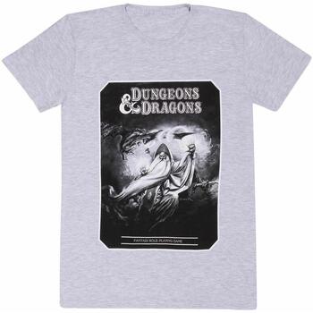 Textiel T-shirts met lange mouwen Dungeons & Dragons  Grijs