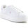 Schoenen Dames Lage sneakers Fila Crosscourt Altezza F Wmn FFW0212-13199 Wit