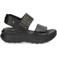 Schoenen Dames Sandalen / Open schoenen Panama Jack NOAH SANDALEN Zwart