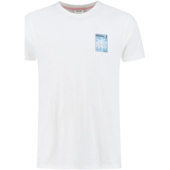 Textiel Heren T-shirts & Polo’s Shiwi T-Shirt Panama Post Wit Wit