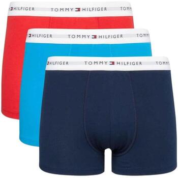 Ondergoed Heren Boxershorts Tommy Hilfiger  Multicolour