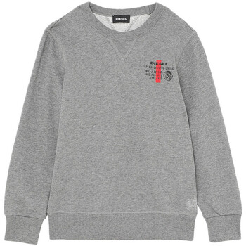 Textiel Jongens Sweaters / Sweatshirts Diesel  Grijs