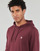 Textiel Heren Sweaters / Sweatshirts Element TAWNY PORT Bordeau