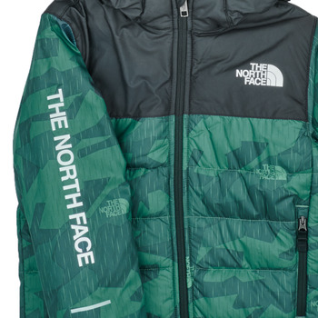 The North Face Boys Never Stop Synthetic Jacket Groen