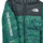 Textiel Jongens Wind jackets The North Face Boys Never Stop Synthetic Jacket Groen