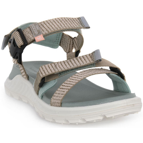 Schoenen Dames Sandalen / Open schoenen Ecco EXOWRAP W SAGE Groen