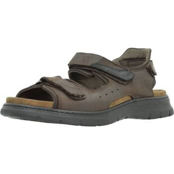 Schoenen Heren Sandalen / Open schoenen Fluchos F1773 Bruin