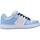 Schoenen Dames Sneakers DC Shoes MANTECA 4 Blauw