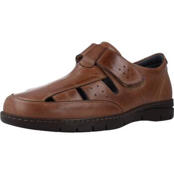 Schoenen Heren Sandalen / Open schoenen Pitillos 4802P Bruin