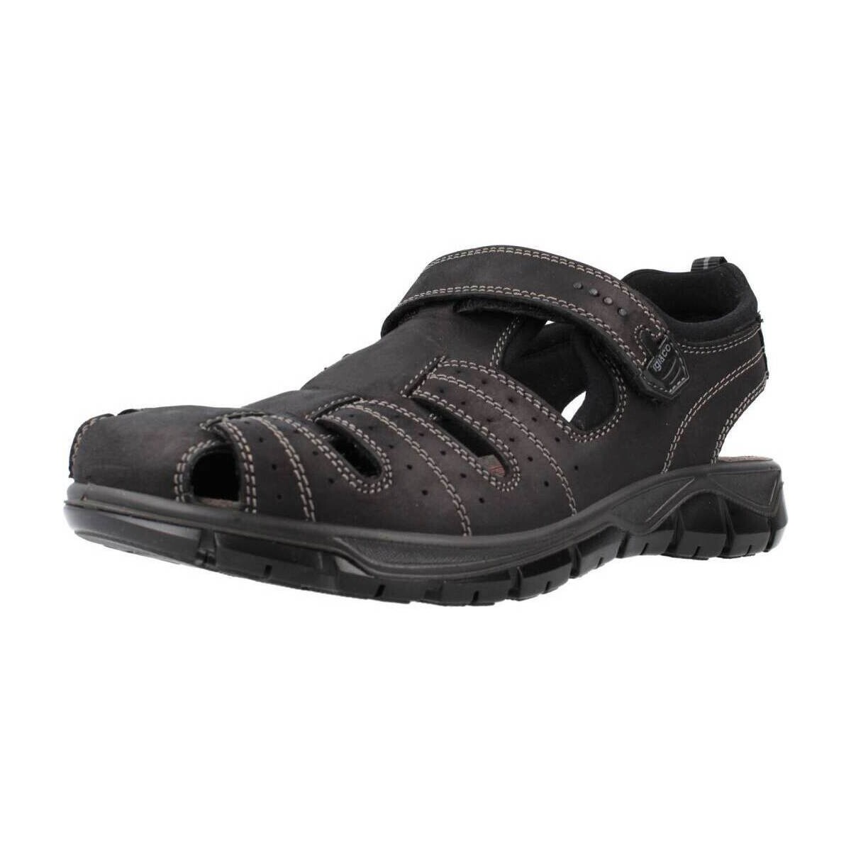 Schoenen Heren Sandalen / Open schoenen IgI&CO 3641200 Zwart