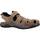 Schoenen Heren Sandalen / Open schoenen IgI&CO 3641222 Bruin