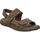 Schoenen Heren Sandalen / Open schoenen Walk & Fly 680-43770 Bruin