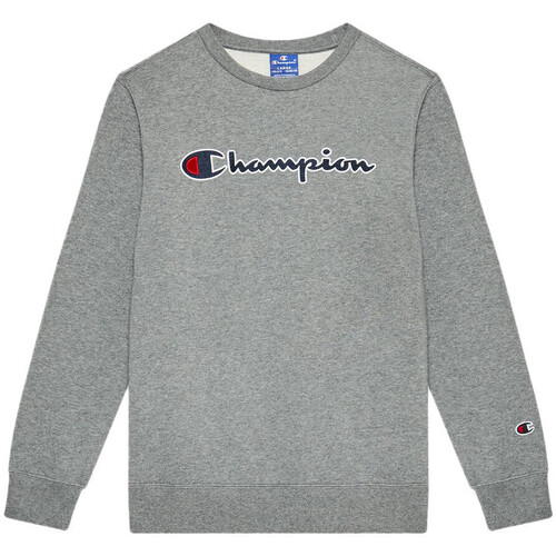 Textiel Jongens Sweaters / Sweatshirts Champion  Grijs