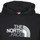 Textiel Heren Sweaters / Sweatshirts The North Face DREW PEAK PULLOVER HOODIE Zwart