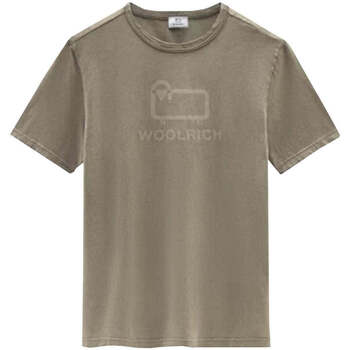 Textiel Heren T-shirts & Polo’s Woolrich  Beige