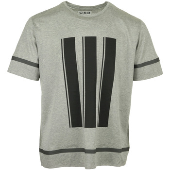 Textiel Heren T-shirts korte mouwen Csb London Stripe Printed T-Shirt Grijs