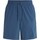 Textiel Heren Korte broeken / Bermuda's Calvin Klein Jeans Wo - 7 Woven Short Blauw