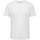 Textiel Heren T-shirts & Polo’s Selected T-Shirt  Slhaspen Noos Wit
