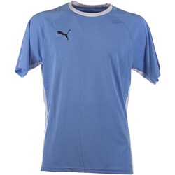 Textiel Heren T-shirts & Polo’s Puma Teamliga Padel Shirt Blauw
