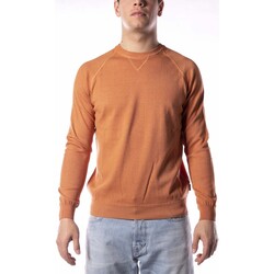 Textiel Heren Sweaters / Sweatshirts At.p.co Maglia  Uomo Oranje