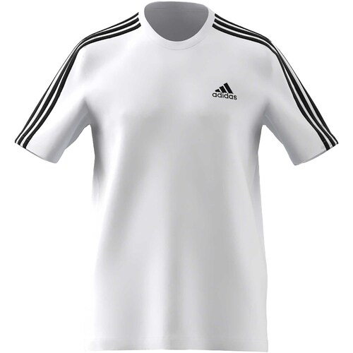 Textiel Heren T-shirts & Polo’s adidas Originals T-Shirt  M3ssj Bianco Wit