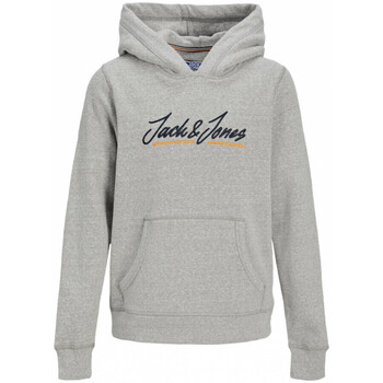 Textiel Kinderen Sweaters / Sweatshirts Jack & Jones  Grijs