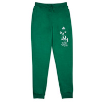Textiel Jongens Trainingsbroeken Adidas Sportswear BLUV Q3 PANT Groen / Wit