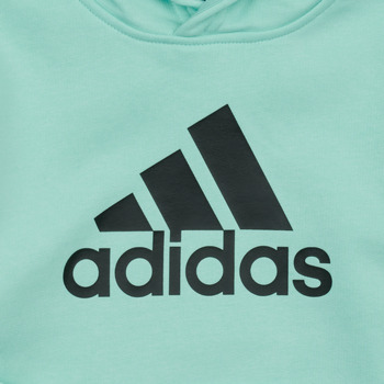 Adidas Sportswear BL HOODIE Groen / Zwart