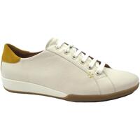 Schoenen Dames Lage sneakers Benvado BEN-RRR-44002004-WH Wit