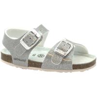 Schoenen Kinderen Sandalen / Open schoenen Grunland GRU-CCC-SB1258-AR Zilver
