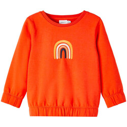 Textiel Meisjes Sweaters / Sweatshirts Name it  Oranje