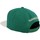 Accessoires Pet Mitchell And Ness  Groen