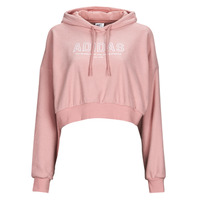 Textiel Dames Sweaters / Sweatshirts Adidas Sportswear TS Top WONMAU Roze