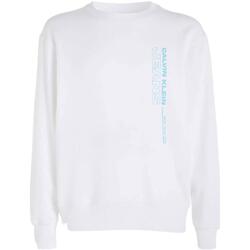 Textiel Heren Sweaters / Sweatshirts Calvin Klein Jeans  Wit