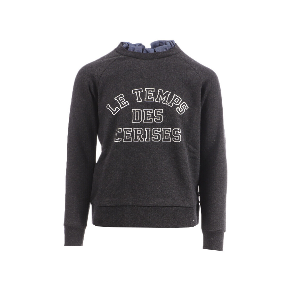 Textiel Meisjes Sweaters / Sweatshirts Le Temps des Cerises  Grijs
