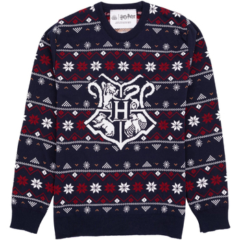 Textiel Sweaters / Sweatshirts Harry Potter  Rood