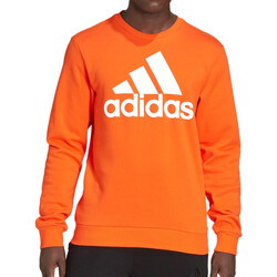 Textiel Heren Sweaters / Sweatshirts adidas Originals  Oranje