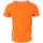 Textiel Heren T-shirts & Polo’s American People  Oranje