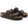 Schoenen Dames Sandalen / Open schoenen Birkenstock Arizona BS Bruin