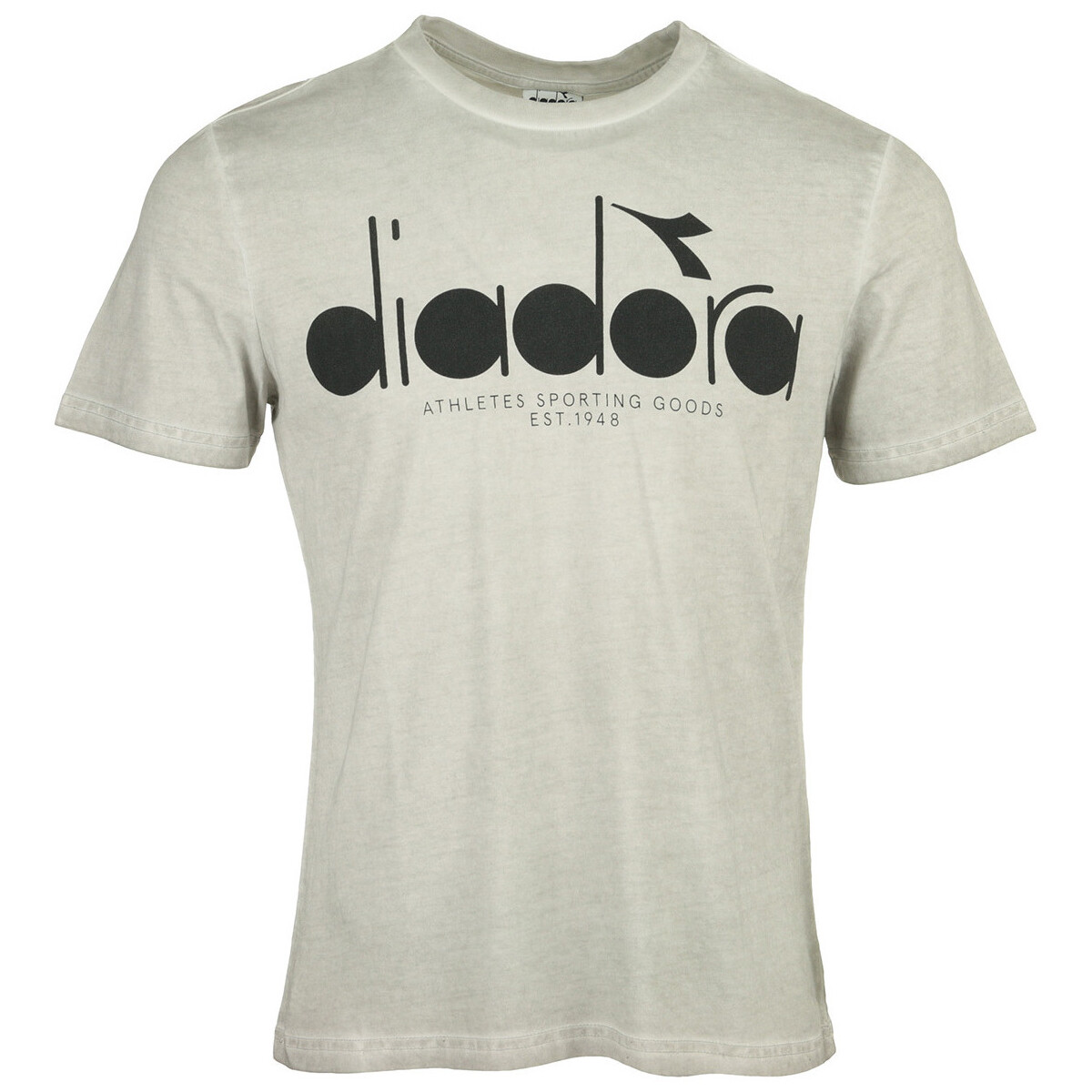 Textiel Heren T-shirts korte mouwen Diadora T-shirt 5Palle Used Grijs