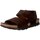 Schoenen Heren Sandalen / Open schoenen Panama Jack  Bruin