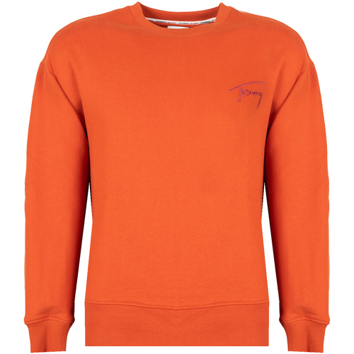 Textiel Heren Sweaters / Sweatshirts Tommy Hilfiger DM0DM12373 Oranje