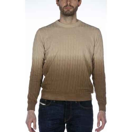 Textiel Heren Sweaters / Sweatshirts At.p.co Maglia  Uomo Bruin