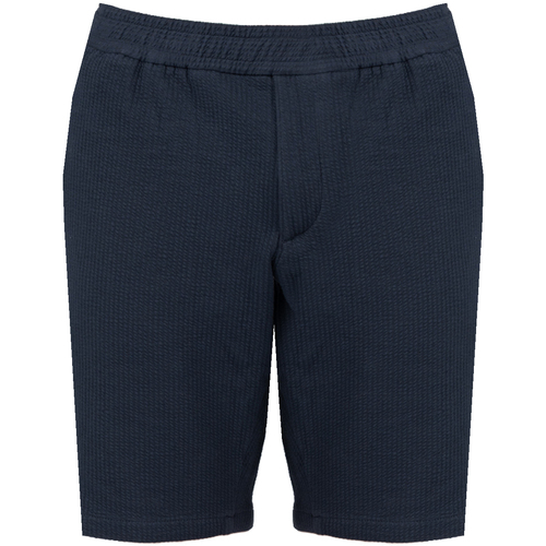 Textiel Heren Korte broeken / Bermuda's Tommy Hilfiger MW0MW23830 Blauw
