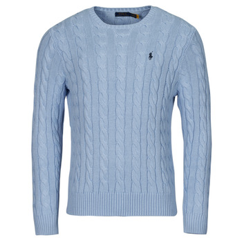 Textiel Heren Truien Polo Ralph Lauren PULL COL ROND MAILLE CABLE Blauw