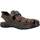 Schoenen Heren Sandalen / Open schoenen IgI&CO 3641211 Bruin