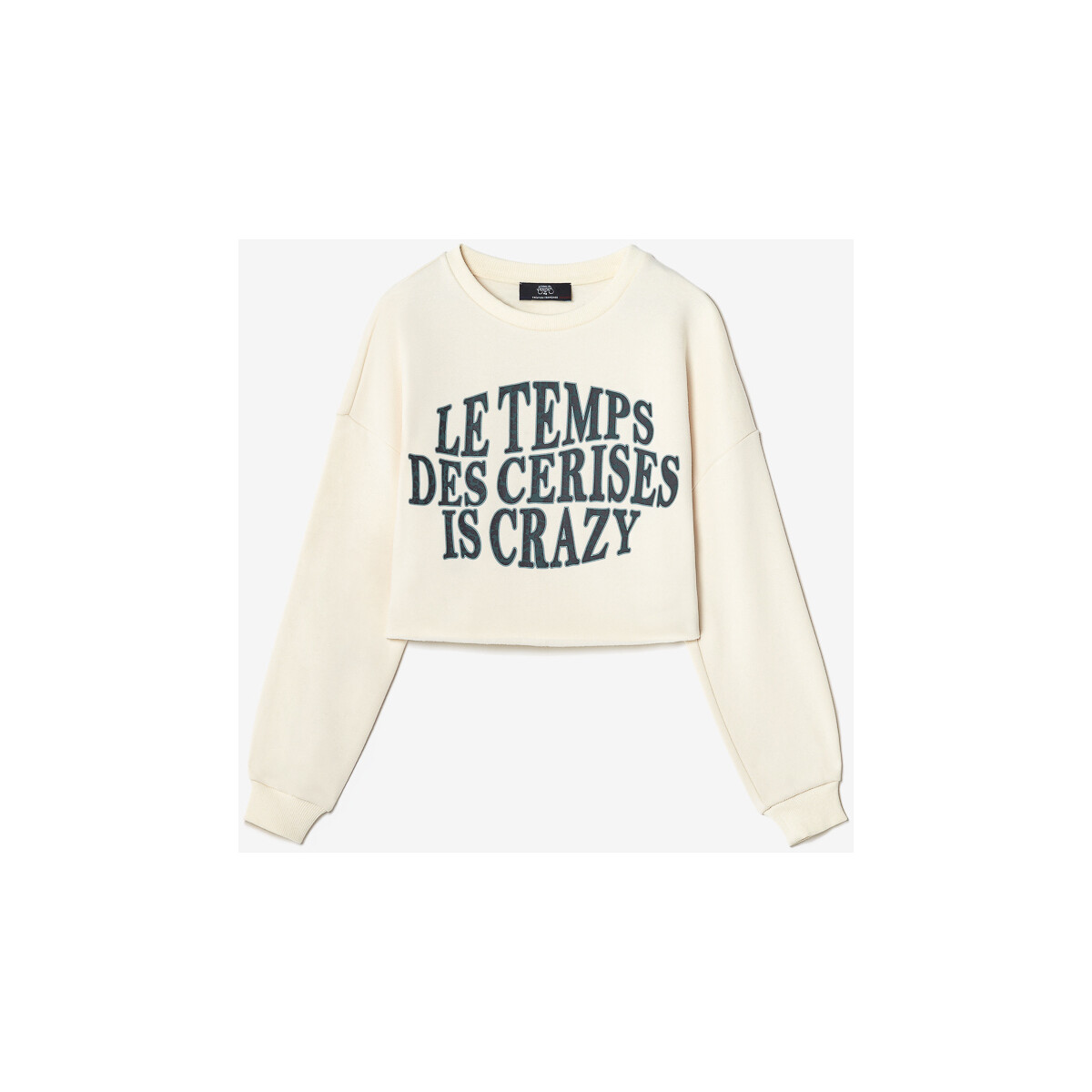 Textiel Meisjes Sweaters / Sweatshirts Le Temps des Cerises Sweater MOLLIEGI Bruin